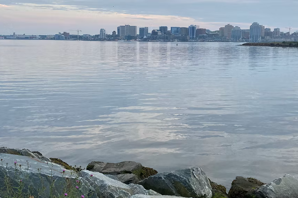 Construction firm ramps up legal, political efforts in bid to infill cove