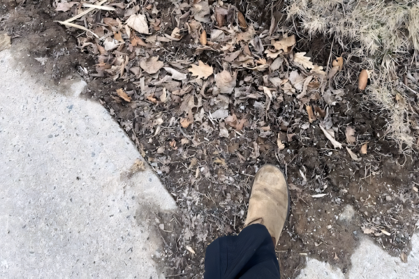 What is with... those deep ruts caused by sidewalk plows?