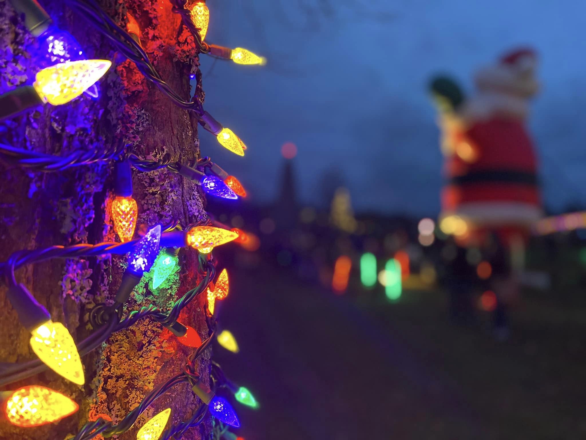 For holiday cheer, you don't even need to cross the harbour