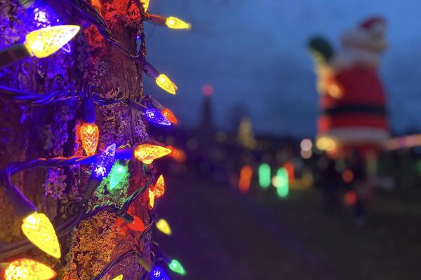 For holiday cheer, you don't even need to cross the harbour