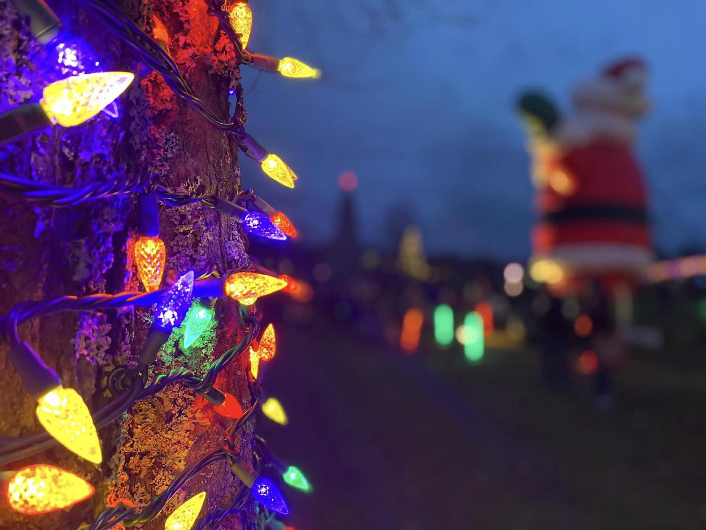 For holiday cheer, you don't even need to cross the harbour