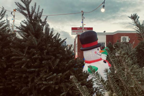 O Christmas tree, thy leaves are so unchanging