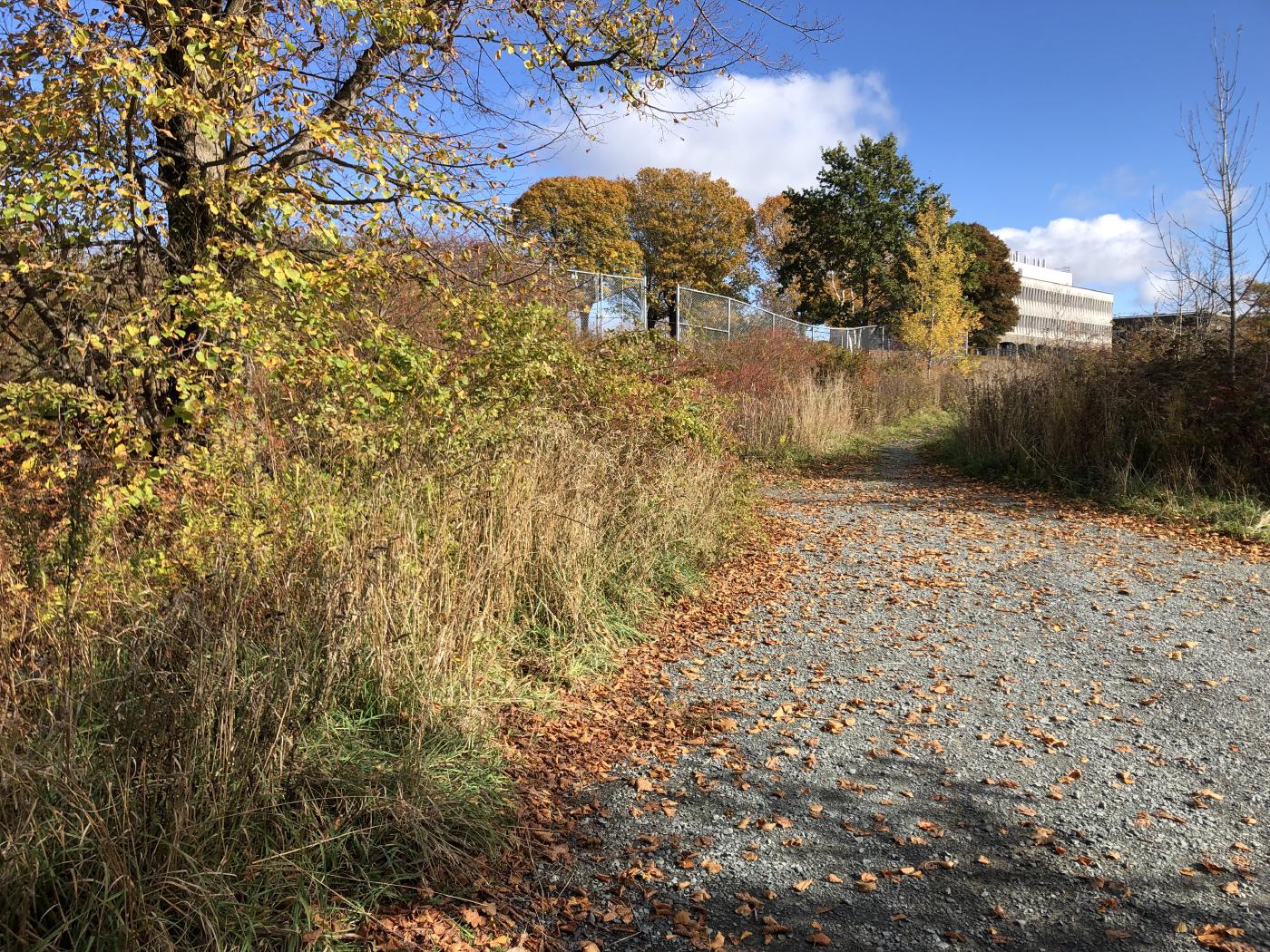 All invited to Feb. 18 meeting to discuss Esson Road project