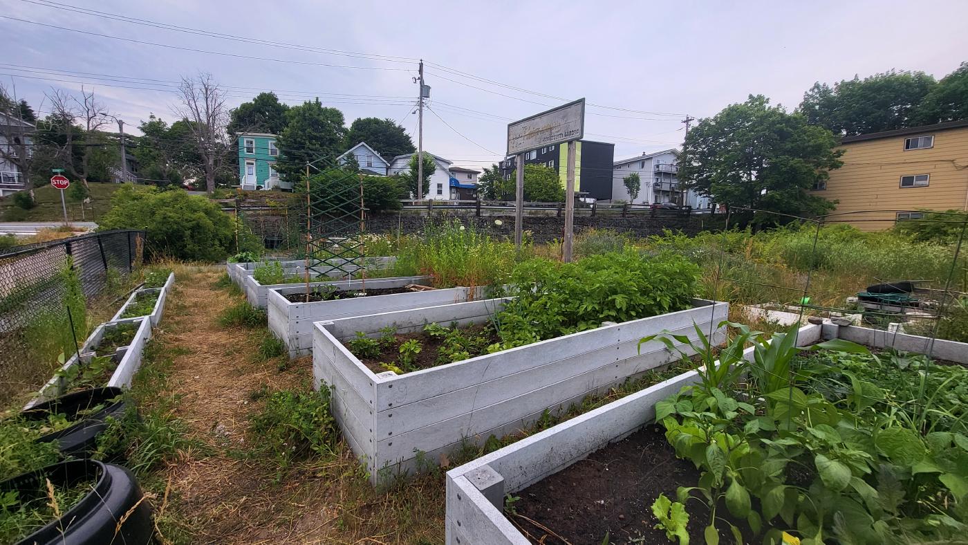 Southdale garden keeps alive memory of Neighbours Pub