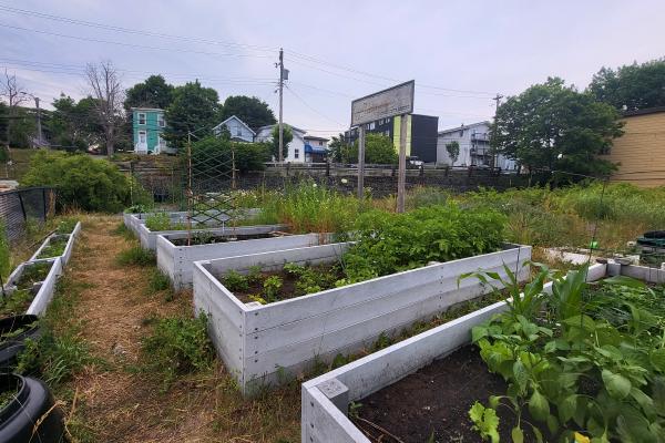 Southdale garden keeps alive memory of Neighbours Pub